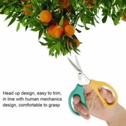 TINOR Cisailles De Taille Confortable, Cisailles De Taillage En Acier, Outil Parfaite En Acier Inoxydable -Outil de taillage Soldes 54497568 3