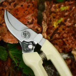 Ensoleillé Ciseaux De Rempotage En Deux Parties En Acier Inoxydable Pour élaguer Les Fruits 9 Ensoleillé Ciseaux De Rempotage En Deux Parties En Acier Inoxydable Pour élaguer Les Fruits -Outil de taillage Soldes 55285616 4