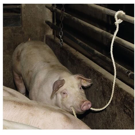 Corde Sisal Kerbl Pour Mordre, 3,2 M De Long X ’Ù 12 Mm 4 Corde Sisal Kerbl Pour Mordre, 3,2 M De Long X ’Ù 12 Mm â Image 2