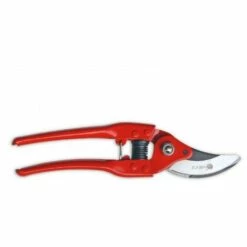 Kamikaze Ciseaux Professionnels Pour _laguer Une Main Km-28, Taille Universelle