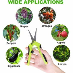 PETITES ECREVISSES Sécateur De Jardinage à Main Coupe Branche Avec Lames En Acier Inoxydable Pour Fleurs Et Plantes -Outil de taillage Soldes 55495801 5