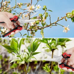 PETITES ECREVISSES Secateur De Jardin Professionnel Ciseaux En Acier Inoxydable Pour Plantes Fleurs -Outil de taillage Soldes 55495806 5