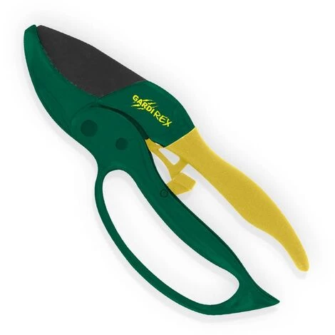 GARDIREX Sécateur à Crémaillère 3 GARDIREX Sécateur à Crémaillère