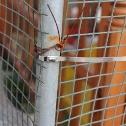 CATHERINE Lot De 100 Colliers De Serrage Inox - 200 X 4.6 Mm - Attache Câble Autobloquant Bandage De Serrage Pour Maison Bureau Garage Atelier -Outil de taillage Soldes 55654475 5