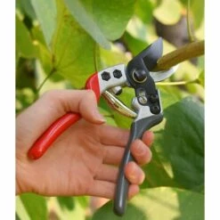 HANBING Sécateur De Jardinage Sécateur En Acier Inoxydable Pour Arbres Fruitiers De Jardin (rouge, Gris Et Blanc) -Outil de taillage Soldes 56494580 4