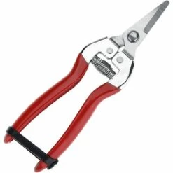 ZHUOXUAN Tondeuse Professionnelle En Acier Inoxydable Pour Jardin, Coupe Droite, Arrangement De Fleurs Chromées, Taille Des Plantes De Récolte (poignée En Fer, Grands Cisailles à Fruits)