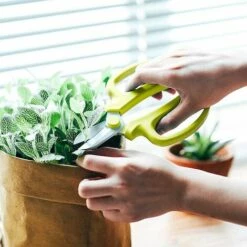 CADEAUX Ciseaux De Jardin Professionnels Avec Poignée, Ciseaux à Fleurs Verts 11 CADEAUX Ciseaux De Jardin Professionnels Avec Poignée, Ciseaux à Fleurs Verts -Outil de taillage Soldes 56623373 5