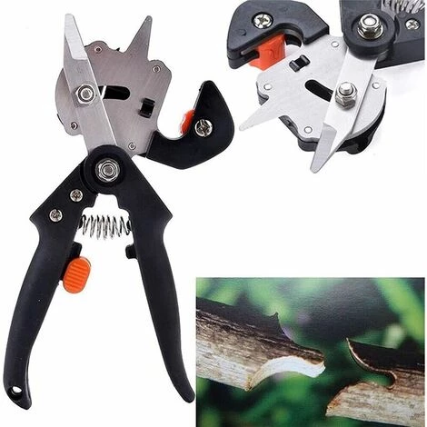 MONLY Greffe Taillade Cisailles Greffe Greffing Outils Professionnel élagage Sécateur Cisailles Taillée Cisailles Arbre Fruitier Greffe Cisailles (Color : Black) 5 MONLY Greffe Taillade Cisailles Greffe Greffing Outils Professionnel élagage Sécateur Cisailles Taillée Cisailles Arbre Fruitier Greffe Cisailles (Color : Black) – Image 3