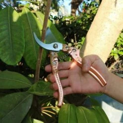 FLYME Sécateur à Main, Sécateur De Jardin Professionnel, Lame Tranchante En Acier Allié à Haute Teneur En Carbone, Poignée Ergonomique Antidérapante -Outil de taillage Soldes 57794540 4