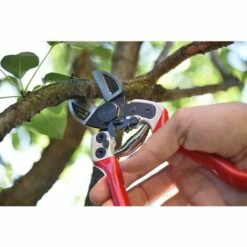 Sécateur Professionnel à Double Tranchant 21 Cm - Falket 2012 EVO Fabriqué En Italie -Outil de taillage Soldes 58223888 5