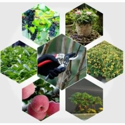 AOUGO Sécateur Professionnel Avec Lame En Acier SK-5 Et Mécanisme De Verrouillage Pour Tiges Et Fleurs. Bleu 10 AOUGO Sécateur Professionnel Avec Lame En Acier SK-5 Et Mécanisme De Verrouillage Pour Tiges Et Fleurs. Bleu -Outil de taillage Soldes 58574256 4