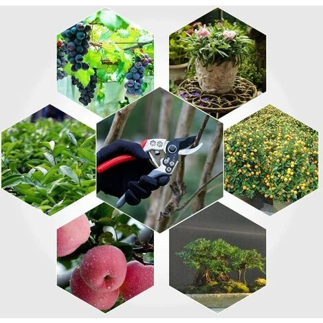 AOUGO Sécateur Professionnel Avec Lame En Acier SK-5 Et Mécanisme De Verrouillage Pour Tiges Et Fleurs. Bleu 6 AOUGO Sécateur Professionnel Avec Lame En Acier SK-5 Et Mécanisme De Verrouillage Pour Tiges Et Fleurs. Bleu – Image 4