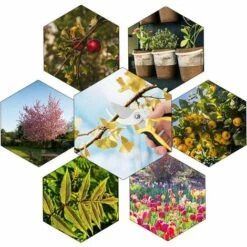 AOUGO Sécateur à Enclume Pour Bois Sec Et Dur, Sécateur De Jardin Lame Franche, Sécateurs D'arbre Poignées Ergonomiques, Cisailles De Jardin Professionnel -Outil de taillage Soldes 58574603 5