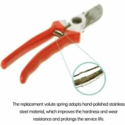 CHANCEY Pièces De Ressort De Sécateur De Jardin En Acier Inoxydable à Ressort De Volute De Rechange, Ressort De Rechange Pour Cisailles De Vigne, D'arbre Et De Jardin, 10pcs，SEMAket -Outil de taillage Soldes 58825251 5
