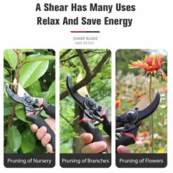 TANCYCO Ciseaux De Jardin Haute Dureté Acier SK5 épaissi Coupe Forte Branche épaisse Élagage Des Arbres Fruitiers Cisailles à Usages Multiples Pour Les Branches De Pépinière Fleurs -Outil de taillage Soldes 58894163 4