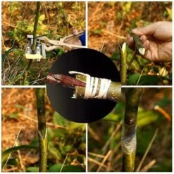 LTS FAFA Outils De Greffage Jardin Arbres Fruitiers Et Vignes Porte-greffes Et Scions Préservation Taux De Réussite Coupe 5-20 Mm De Diamètre Professionnel Grand Corps Entièrement En Métal Lame Tranchante 8 LTS FAFA Outils De Greffage Jardin Arbres Fruitiers Et Vignes Porte-greffes Et Scions Préservation Taux De Réussite Coupe 5-20 Mm De Diamètre Professionnel Grand Corps Entièrement En Métal Lame Tranchante -Outil de taillage Soldes 59153620 2