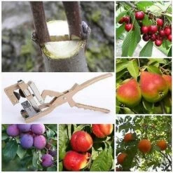 LTS FAFA Outils De Greffage Jardin Arbres Fruitiers Et Vignes Porte-greffes Et Scions Préservation Taux De Réussite Coupe 5-20 Mm De Diamètre Professionnel Grand Corps Entièrement En Métal Lame Tranchante 9 LTS FAFA Outils De Greffage Jardin Arbres Fruitiers Et Vignes Porte-greffes Et Scions Préservation Taux De Réussite Coupe 5-20 Mm De Diamètre Professionnel Grand Corps Entièrement En Métal Lame Tranchante -Outil de taillage Soldes 59153620 3
