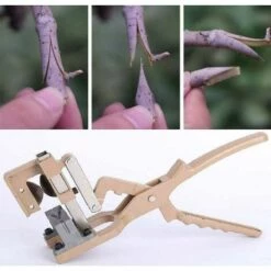 LTS FAFA Outils De Greffage Jardin Arbres Fruitiers Et Vignes Porte-greffes Et Scions Préservation Taux De Réussite Coupe 5-20 Mm De Diamètre Professionnel Grand Corps Entièrement En Métal Lame Tranchante 11 LTS FAFA Outils De Greffage Jardin Arbres Fruitiers Et Vignes Porte-greffes Et Scions Préservation Taux De Réussite Coupe 5-20 Mm De Diamètre Professionnel Grand Corps Entièrement En Métal Lame Tranchante -Outil de taillage Soldes 59153620 5