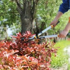 Cisailles à Haies Légères AIRAJ (60 Cm), Cisailles à Haies Manuelles Pour Couper, Façonner Et Tailler, Adaptées à La Maison, Au Jardin Et Au Verdissement, Cisailles à Haies à Long Manche -Outil de taillage Soldes 59869823 5