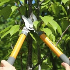 AIRAJ Bypass Loppers, More Power Less Effort Branch Lopper, Hardened Steel Blades With Non-Stick Coating, Bypass Loppers And Tree Trimmer Longueur : 38.5 Cm, Quality Gardening Tree Lopper -Gray/Orange -Outil de taillage Soldes 59894798 3
