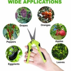 PERLE RARE Sécateur De Jardinage à Main Pour Bonsaï, Ciseaux De Jardin De Haute Précision Avec Lame Incurvée Et Inoxydable -Outil de taillage Soldes 59967431 5