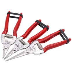 PERLE RARE Sécateur à Fleurs Bonsai Plantes, épinette De Jardin Inoxydable(GPPS-1008). Ciseaux Pour Fleuriste Et Jardinage Colibri -Outil de taillage Soldes 59967434 4