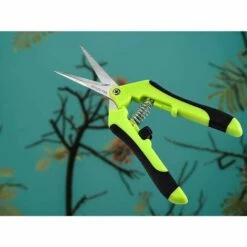 BENOBBY KIDS Sécateur De Jardin, Professionnel Ciseaux De Jardinage, Pointe Haute Secateur Précision, Sécateur Lame Droite Inoxydable, Main Pour Bonsaï (2 Pièces) -Outil de taillage Soldes 60417241 5