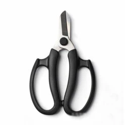 CATHERINE Ciseaux Floraux, Sécateur De Jardin En Acier De Qualité Supérieure Ciseaux À Feuilles De Fruits Floraux Pour Jardin, Arrangement De Fleurs, Ciseaux D'Élagage Bonsaï(noir)