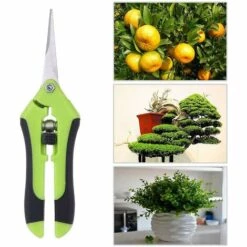 PREMIER 2 Sécateurs, Sécateurs à Fruits -Outil de taillage Soldes 60541072 2