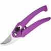 CATHERINE Cisailles à élaguer En Acier Inoxydable Ciseaux De Jardin Branches De Fleurs De Verger Ciseaux De Cueillette De Fruits Outils De Branche De Jardin Durable Traité(Violet)