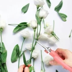 MEZHENG Sécateur à Jardin/Ciseaux De Greffage En Acier De Haute Qualité, Jardinage Professionnel, Parfait Pour Ranger Les Plantes Et Le Jardin - Rose -Outil de taillage Soldes 61310089 4