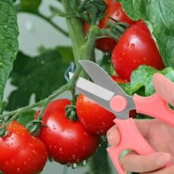 MEZHENG Sécateur à Jardin/Ciseaux De Greffage En Acier De Haute Qualité, Jardinage Professionnel, Parfait Pour Ranger Les Plantes Et Le Jardin - Rose -Outil de taillage Soldes 61310089 5