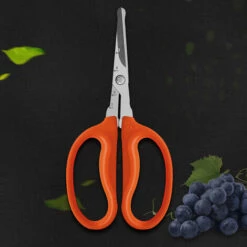 JUNJUN-Cisailles De Jardin, Sécateur à Main, Style De Cisailles De Contournement3 -Outil de taillage Soldes 63802367 3