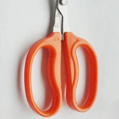 JUNJUN-Cisailles De Jardin, Sécateur à Main, Style De Cisailles De Contournement3 -Outil de taillage Soldes 63802367 5