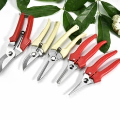 JUNJUN-Sécateur - Sécateur De Jardin à Une Main Haute Performance Blanc Droit 10 JUNJUN-Sécateur - Sécateur De Jardin à Une Main Haute Performance Blanc Droit -Outil de taillage Soldes 63802453 4