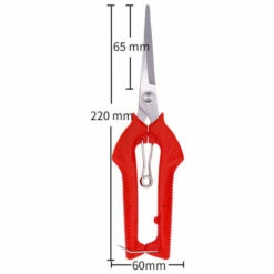 JUNJUN-Sécateur En Acier Inoxydable à Long Bord Arbres Fruitiers Bonsai Sharp Ciseaux De Jardin Outil L -Outil de taillage Soldes 63802534 2