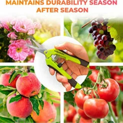 JUNJUN-Ciseaux De Jardin Confortables Et Sécateur De Précision Vert -Outil de taillage Soldes 63802590 4