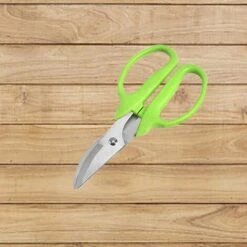 JUNJUN-Cisailles De Jardinage Succulentes Cisailles De Jardin Jardin Fleuriste Sécateur De Fleurs Tête Ronde Courte -Outil de taillage Soldes 63802649 4