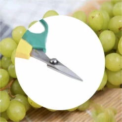 JUNJUN-Cisailles De Jardin, Sécateur à Main, Style De Cisailles De Contournement1 10 JUNJUN-Cisailles De Jardin, Sécateur à Main, Style De Cisailles De Contournement1 -Outil de taillage Soldes 63802764 4