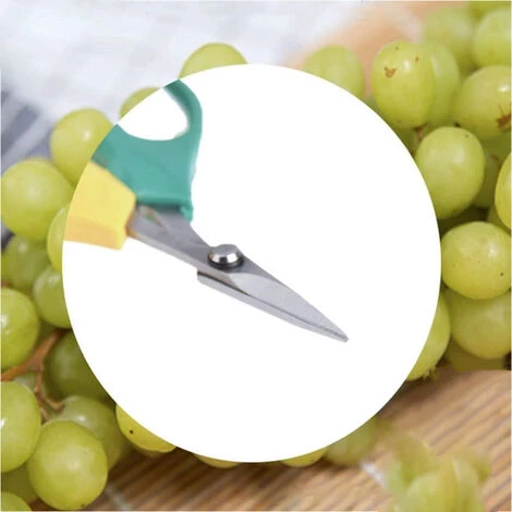 JUNJUN-Cisailles De Jardin, Sécateur à Main, Style De Cisailles De Contournement1 6 JUNJUN-Cisailles De Jardin, Sécateur à Main, Style De Cisailles De Contournement1 – Image 4