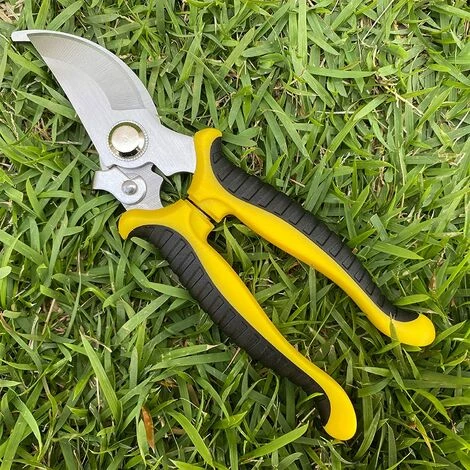 PERLE RARE Sécateur, Cisailles Antidérapantes Avec Poignée De Verrouillage Cisailles à Branches De Fleurs De Jardin De Réparation Professionnelle, Cisailles à Branches Multifonctionnelles(Jaune) 7 PERLE RARE Sécateur, Cisailles Antidérapantes Avec Poignée De Verrouillage Cisailles à Branches De Fleurs De Jardin De Réparation Professionnelle, Cisailles à Branches Multifonctionnelles(Jaune) – Image 5