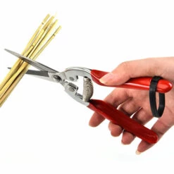 PERLE RARE Sécateurs De Fleurs De Plantes De Bonsaï, 100% Acier Inoxydable Fleuriste D'épicéa De Jardin Et Cisailles De Jardin -Outil de taillage Soldes 63959540 3