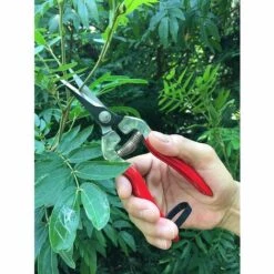 PERLE RARE Sécateurs De Fleurs De Plantes De Bonsaï, 100% Acier Inoxydable Fleuriste D'épicéa De Jardin Et Cisailles De Jardin -Outil de taillage Soldes 63959540 4