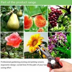 HAZEL Sécateur Ciseaux Micro-Tip De Jardinage à Fleurs Durable Des Outils 180mm En Acier Inoxydable De Bonsa?s D'élagage D'arbres Fruitiers -Outil de taillage Soldes 64196959 4