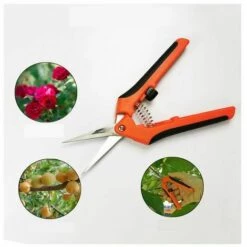 Dontodent Sécateur De Jardinage Manuel Professionnel En Acier Inoxydable G85 Orange Noir Ciseaux De Jardinage Droit Emballage De Carte (orange) -Outil de taillage Soldes 64861507 3