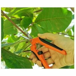 Dontodent Sécateur De Jardinage Manuel Professionnel En Acier Inoxydable G85 Orange Noir Ciseaux De Jardinage Droit Emballage De Carte (orange) -Outil de taillage Soldes 64861507 4