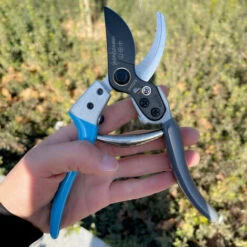 BENOBBY KIDS Basics Sécateur à Lame Franche -Outil de taillage Soldes 64873566 3