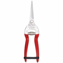 BENOBBY KIDS Ciseaux De Jardinage Avec Poignée En Acier Inoxydable Pour Couper Les Fruits