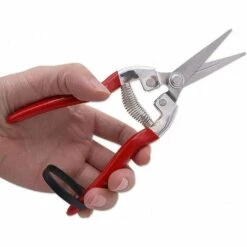 BENOBBY KIDS Ciseaux De Jardinage Avec Poignée En Acier Inoxydable Pour Couper Les Fruits -Outil de taillage Soldes 64874280 3