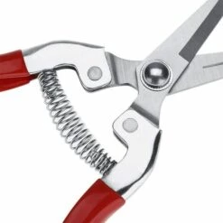 BENOBBY KIDS Ciseaux De Jardinage Avec Poignée En Acier Inoxydable Pour Couper Les Fruits -Outil de taillage Soldes 64874280 4